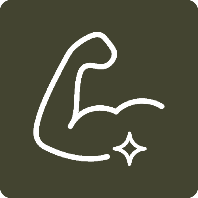 Ib Icon 1