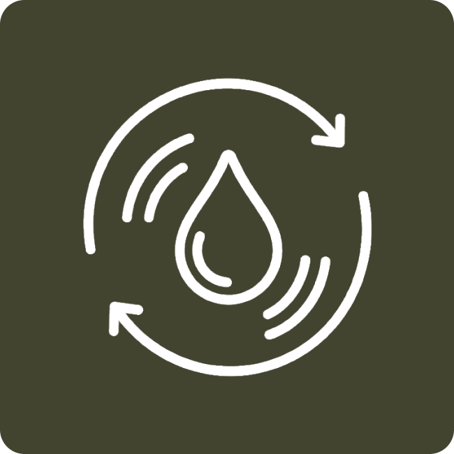 Ib Icon 2