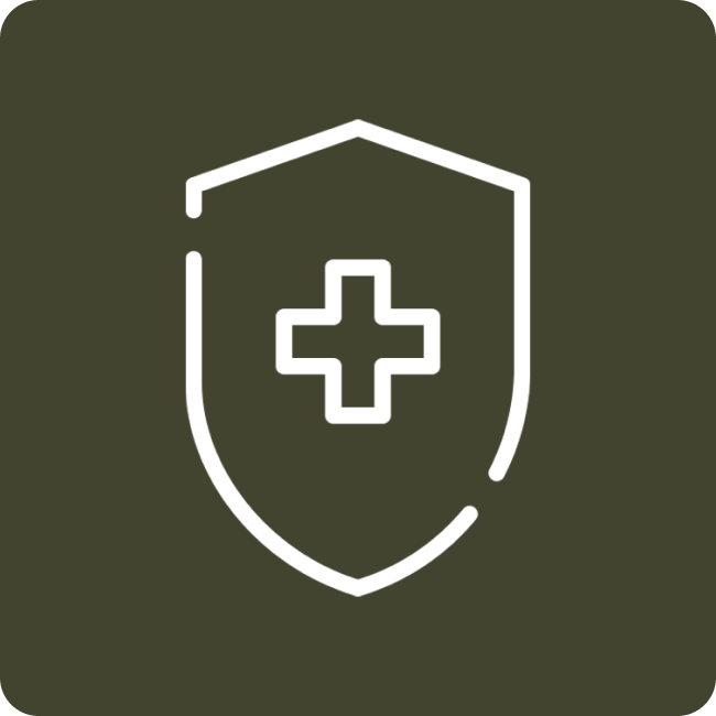 Ib Icon 3