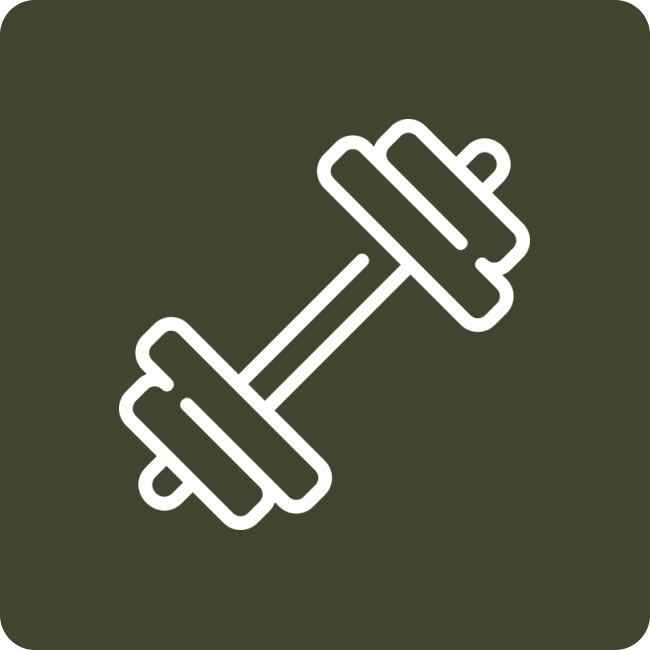 Ib Icon 4